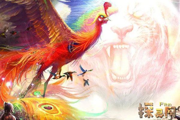 鲲鹏比翼鸟：中国占卜术中有的含义及含义